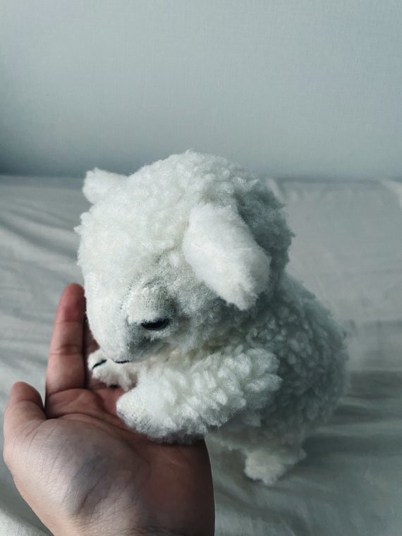 ひつじのぬいぐるみと作者の手