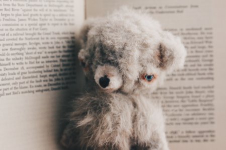 くまのぬいぐるみ