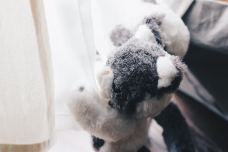 ねこのぬいぐるみ