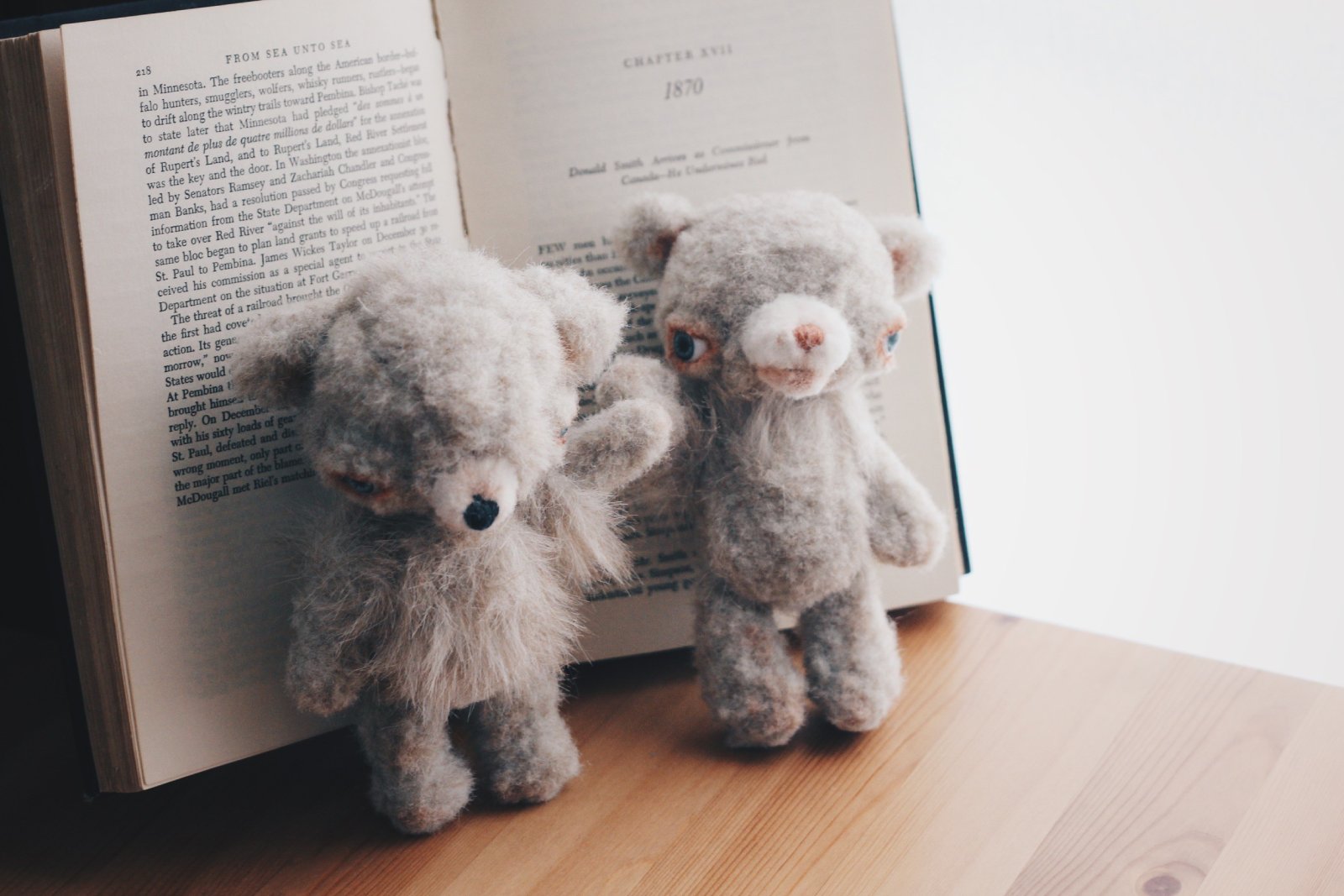 本の前に立つ2体のくまのぬいぐるみ