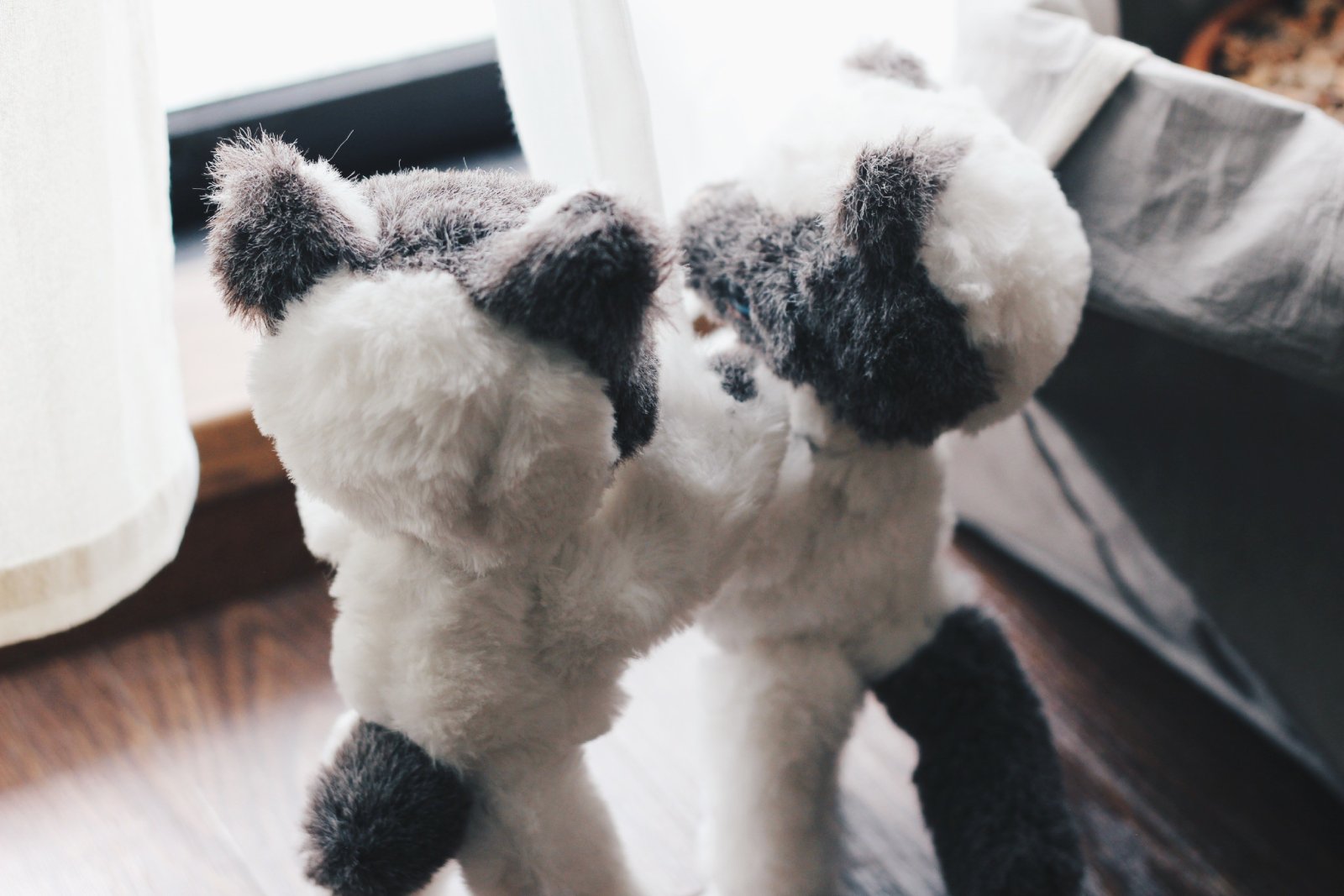 並んで話をする2体のねこのぬいぐるみ