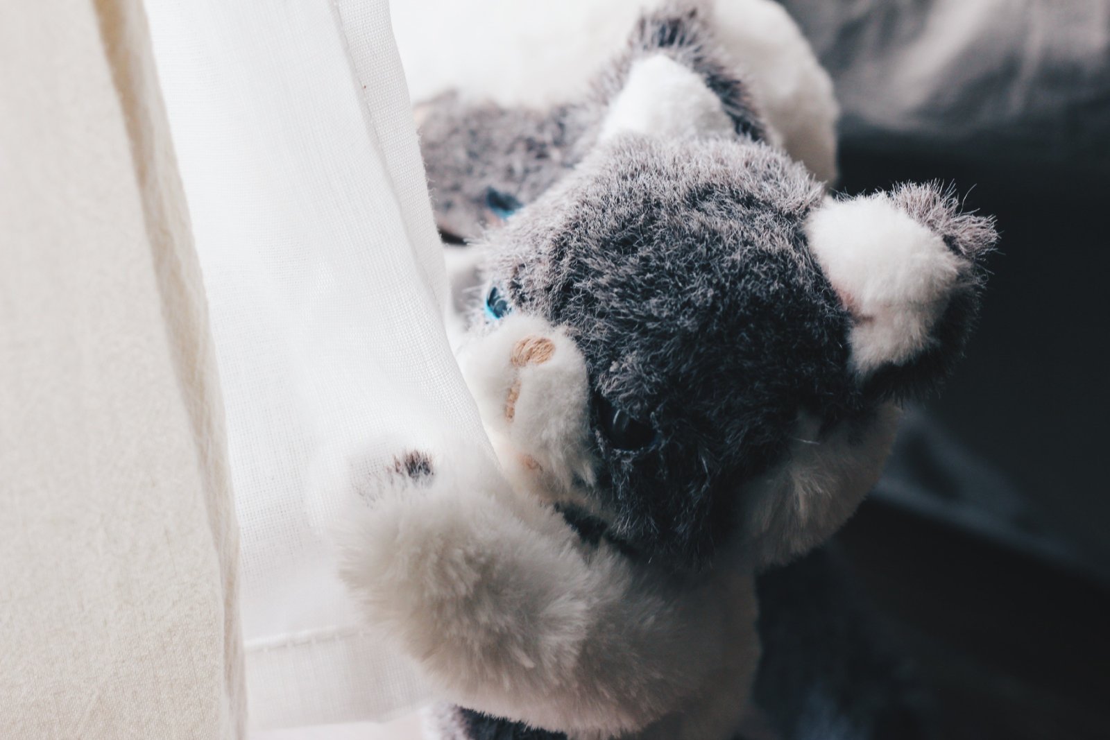 カーテンと戯れるねこのぬいぐるみ