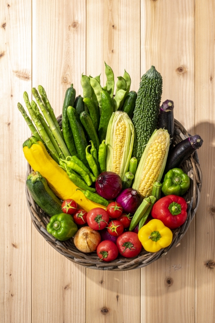 【くちぶえ農園/長野県飯田市】旬*お試し野菜セット(6品目)